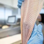 Maximum Raw Material Utilization