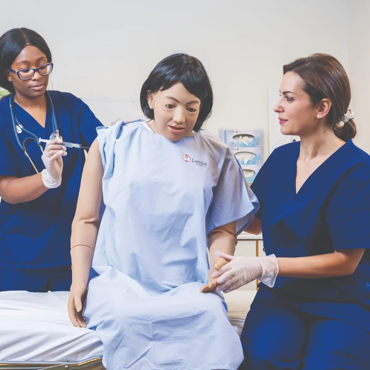 Nursing Anne Simulator