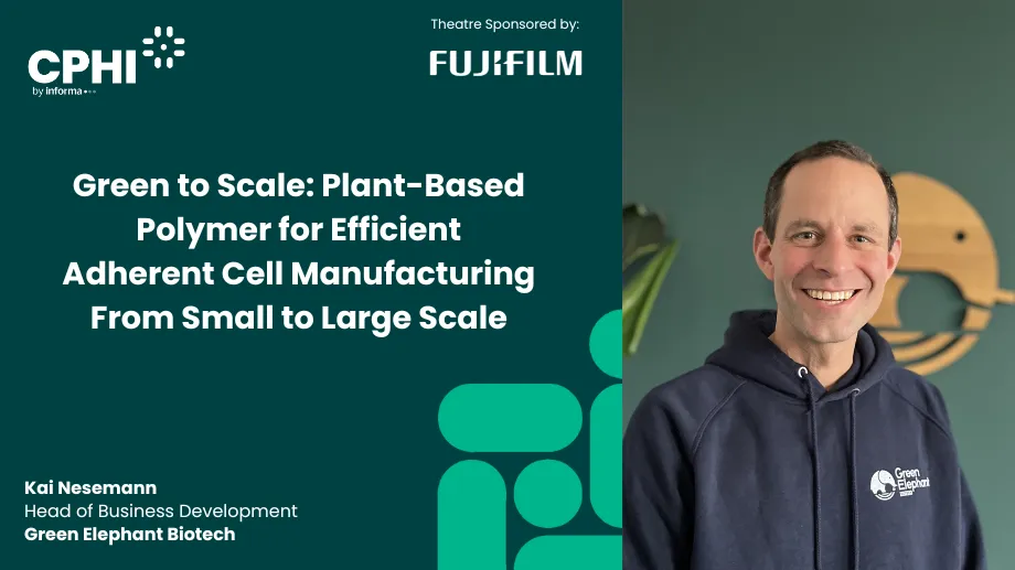Green to Scale: Plant-Based Polymer for Efficient Adherent Cell Manufacturing From Small to Large Scale