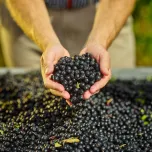 FENACTIVE® Antiviral support