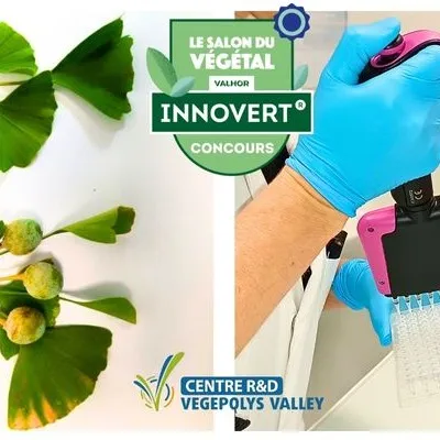 Service de sexage du Ginkgo biloba par analyse d’ADN