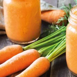 vega™ - our organic certified fermented carrot powder naturally rich in vitamin B12