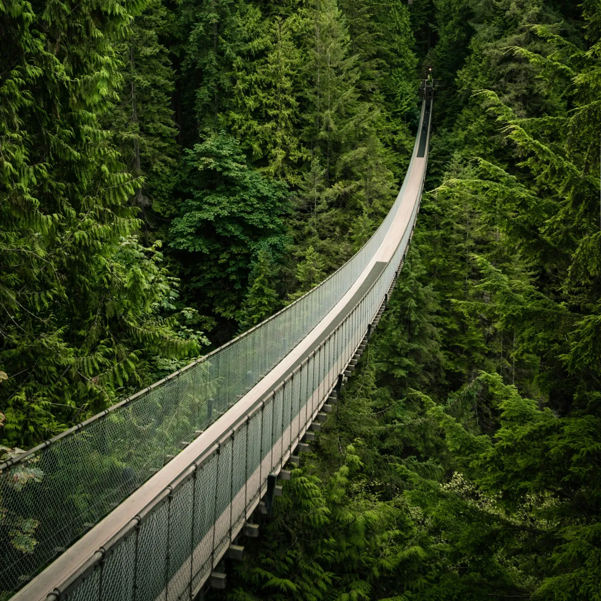 Capilano Suspension Bridge