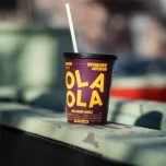 WILD BERRY BOOST - Protein smoothie blueberry, cranberry, goji