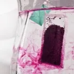 HTVE - Active enriched plants for Herbal Teas