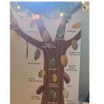 CHOCOLATES FINOS PARA INDUSTRIA COM X-TEVIA