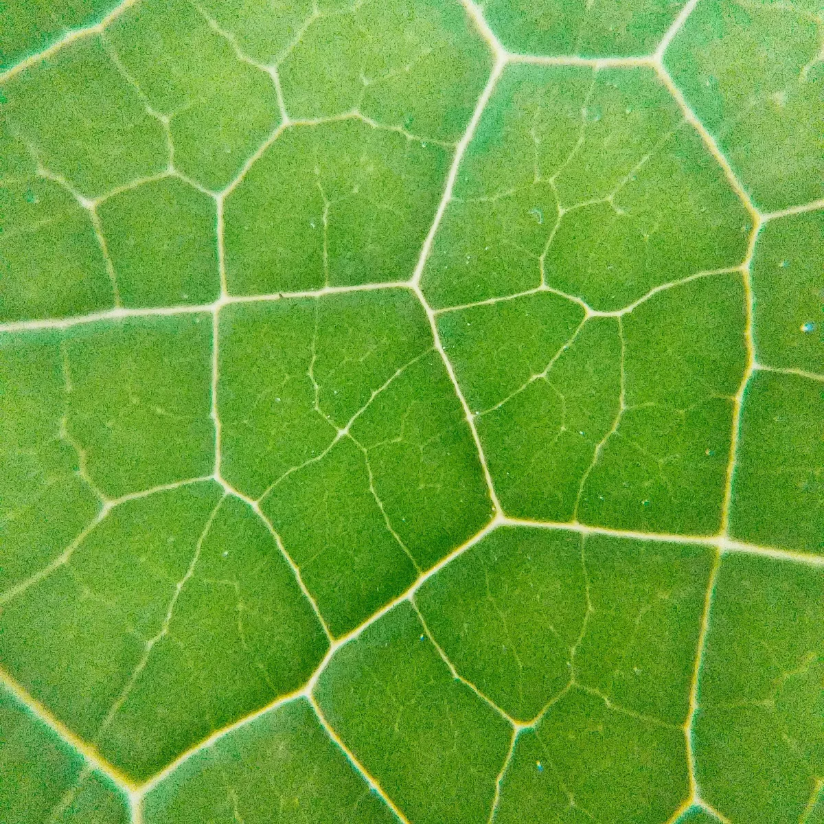 BTSA New Brand Identity