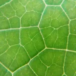 BTSA New Brand Identity