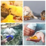 Automatic Fish Oil and Fishmeal Production Equipment