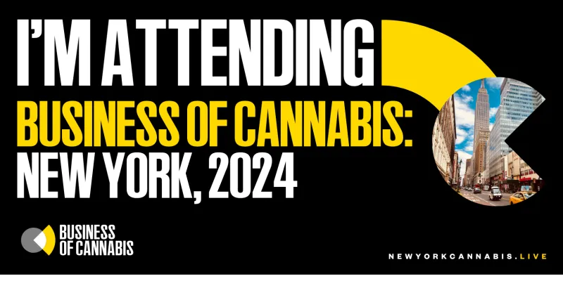 Business of Cannabis: New York 2024