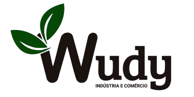 Wudy