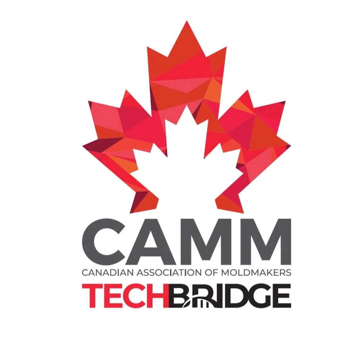 CAMM TECHBRIDGE
