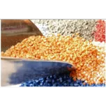 Plastic raw materials