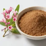 Apocynum Venetum Extract