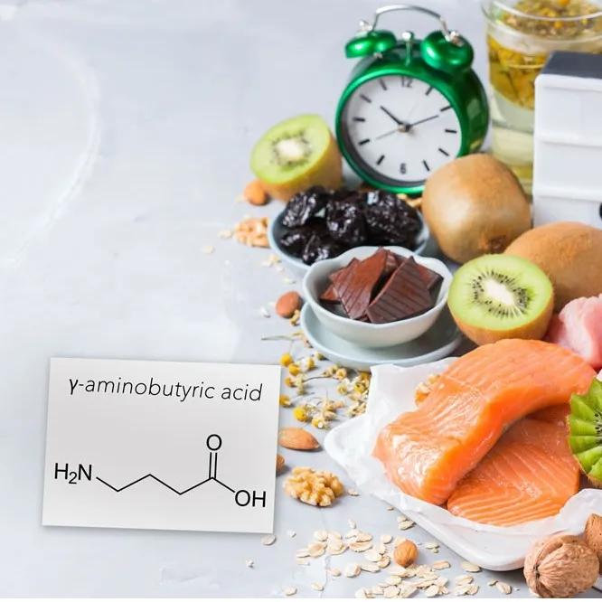 Gamma-Aminobutyric Acid / Ácido Gama-Aminobutírico (GABA)
