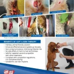 Optikop Physio high power handheld soft laser