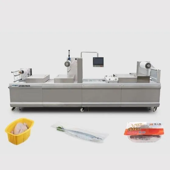 Rigid Bottom Film Thermoforming Packaging Machine