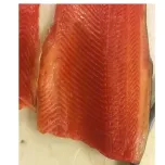 ST591 Pinbone remover