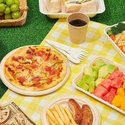 disposable plant fibre tableware