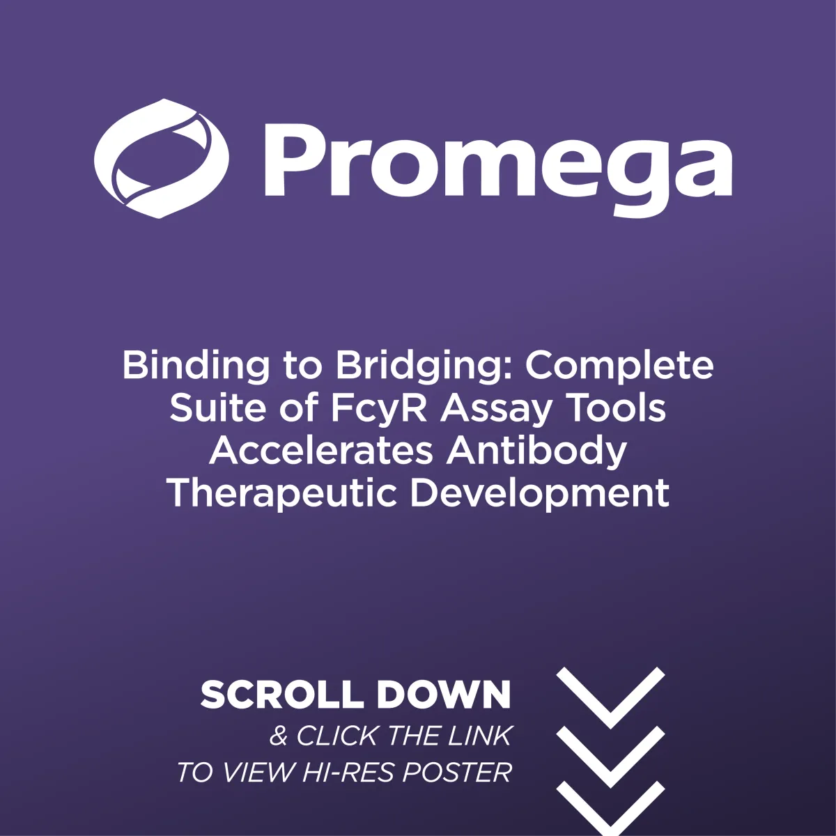 P-130-T - Binding to Bridging: Complete Suite of FcyR Assay Tools Accelerates Antibody Therapeutic Development