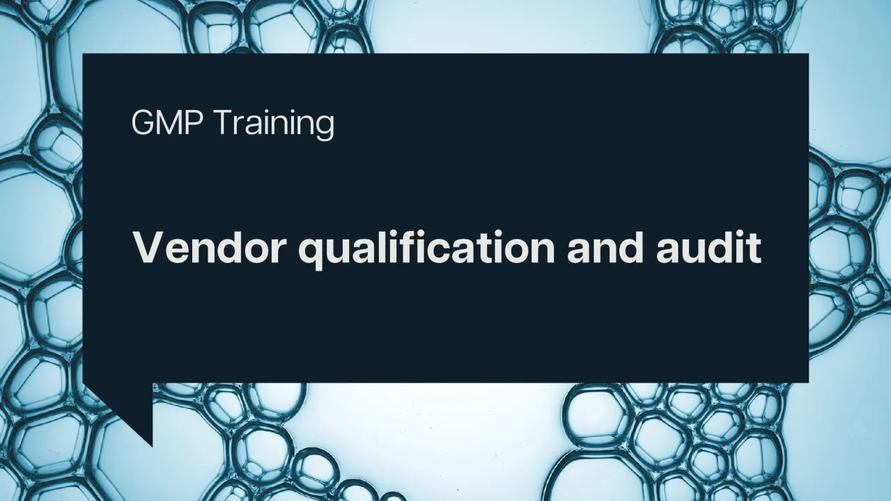 Vendor qualification and audit