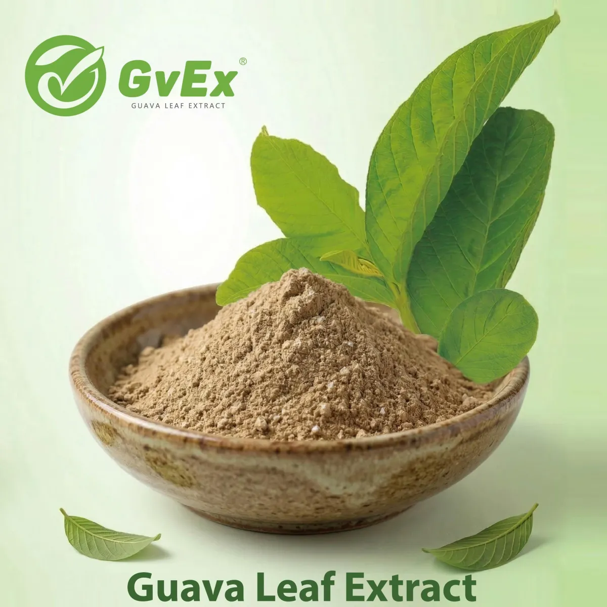GvEx®- Guava leaf extract