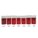 Beet Root Juice Concentrated