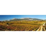 Amona Crianza
