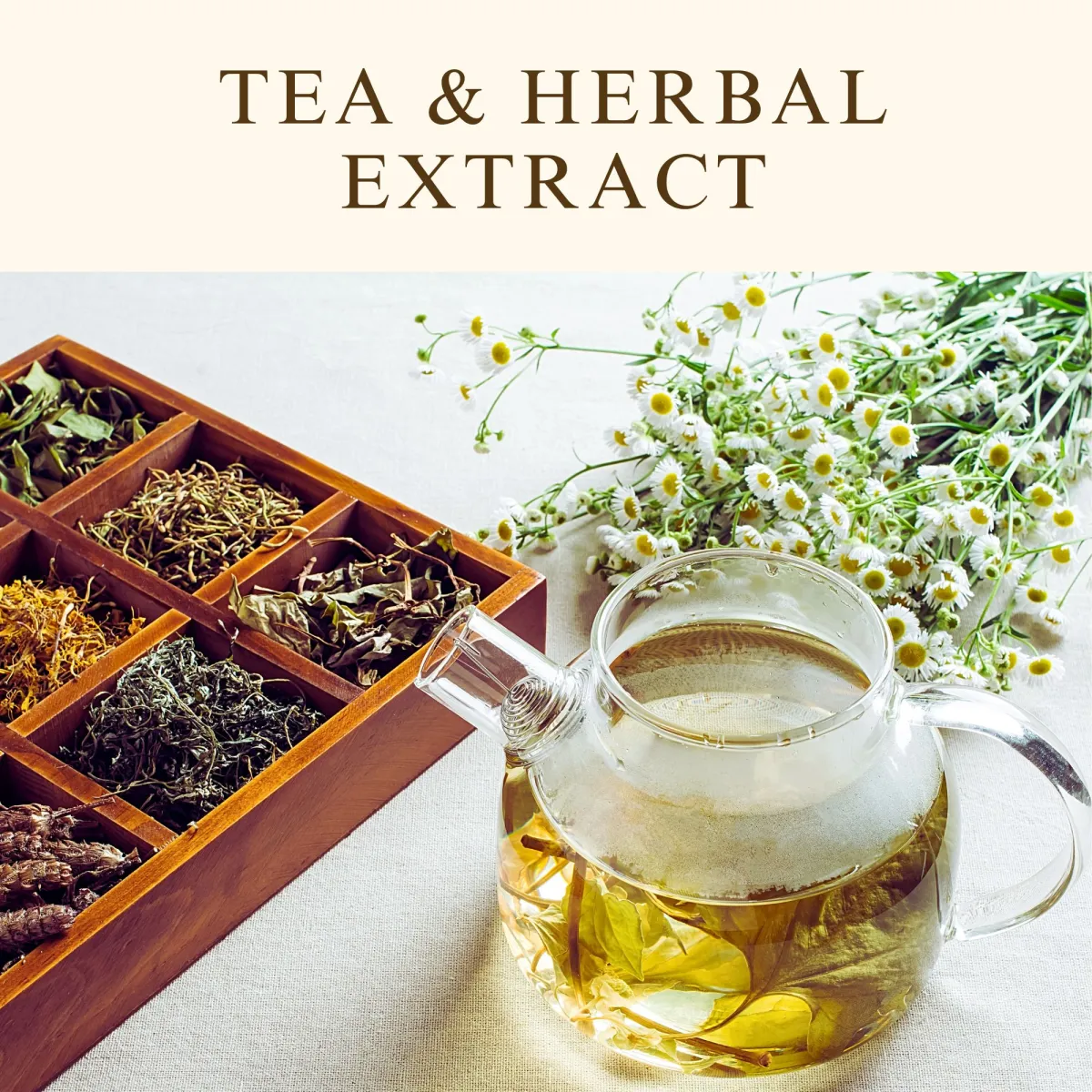 TEA EXTRACTS & HERBAL EXTRACTS