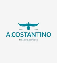 A. COSTANTINO E C. SOCIETA' PER L'INDUST