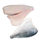 Dorade (Sea Bream, Orata) Fillet & Whole