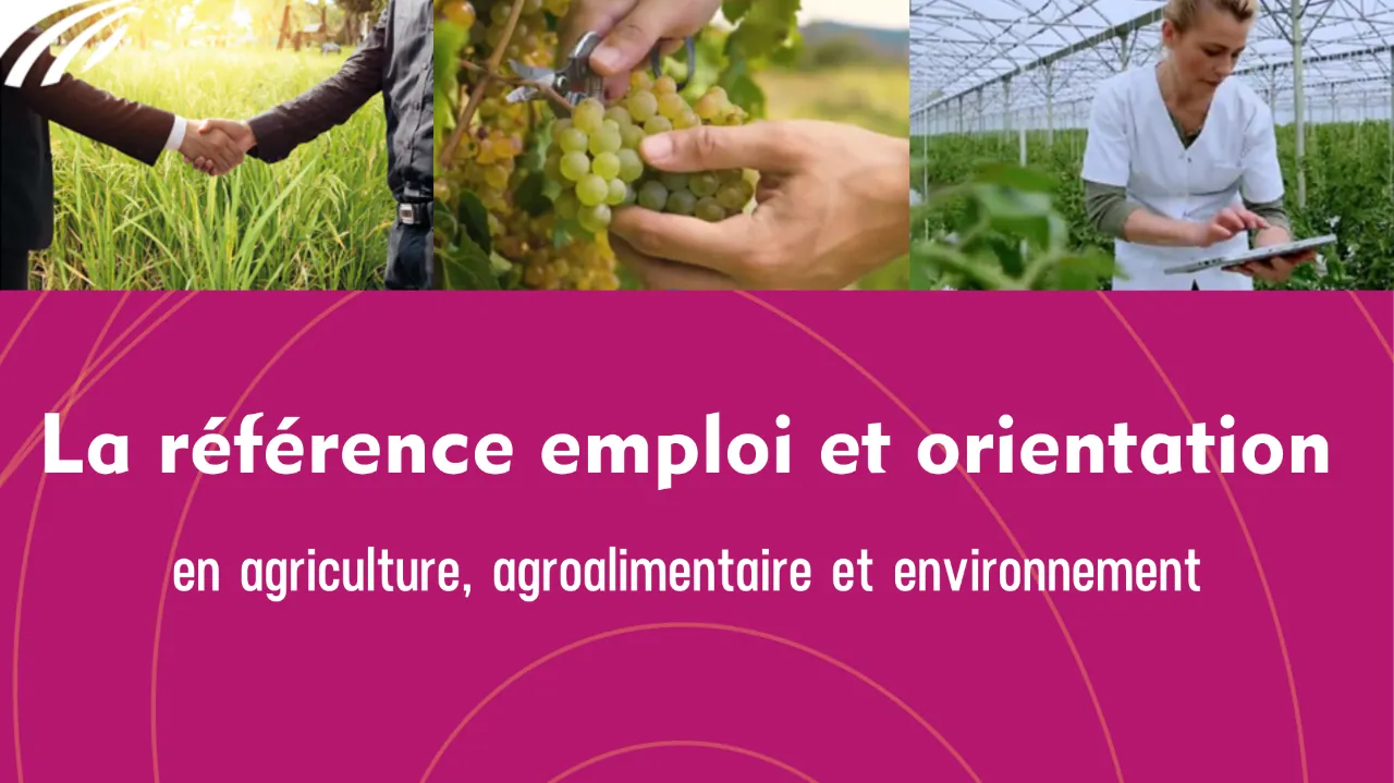 Du pitch à l’embauche : booster votre avenir avec les RDVs APECITA Pro