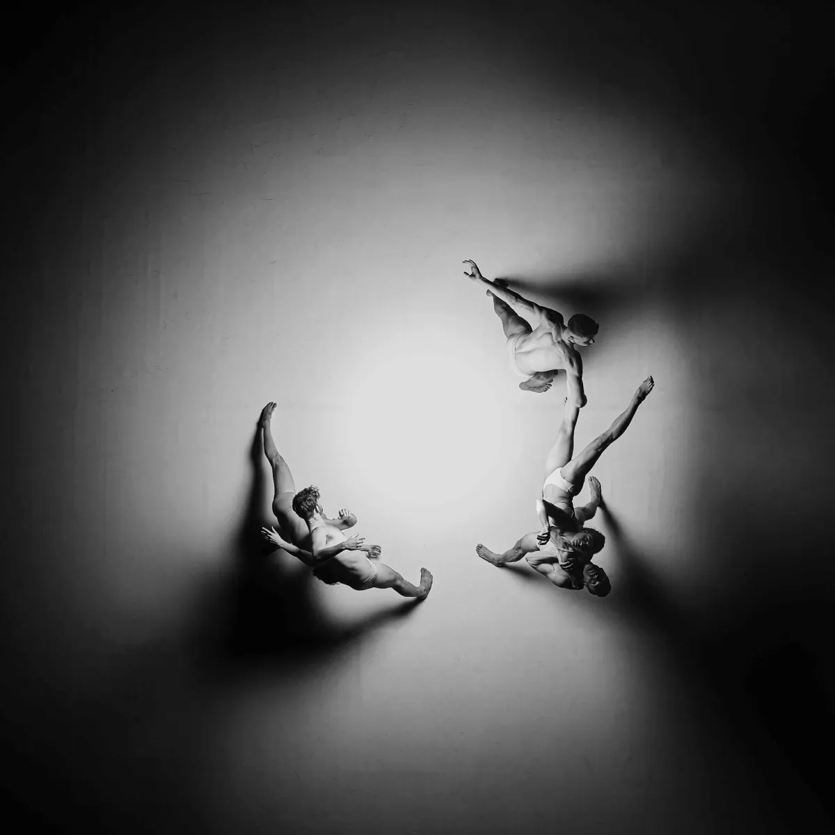 20% Discount - ADC Creative Learning Suite