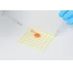 PrimaColl® Type 21 Signaling Collagen Shot