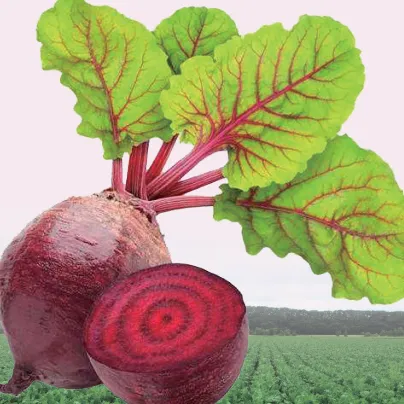 Beet Root Powder/Beet Root Juice Powder