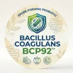 Bacillus coagulans BCP92™