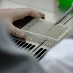 Green Elephant® microPLAtes