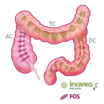 inavea TM PURE ACACIA, the ideal clean label ingredient for fiber fortification and prebiotic positioning.