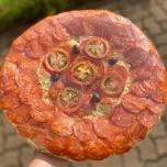 Filme termoencolhível para Pizza