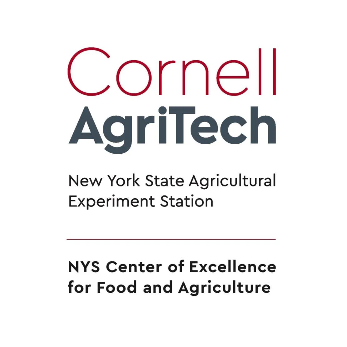 Food/Beverage/Agriculture Business Mentorship