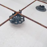 DIG
