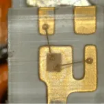 ViTiny UM30 4K Autofocus HDMI USB Digi Microscope