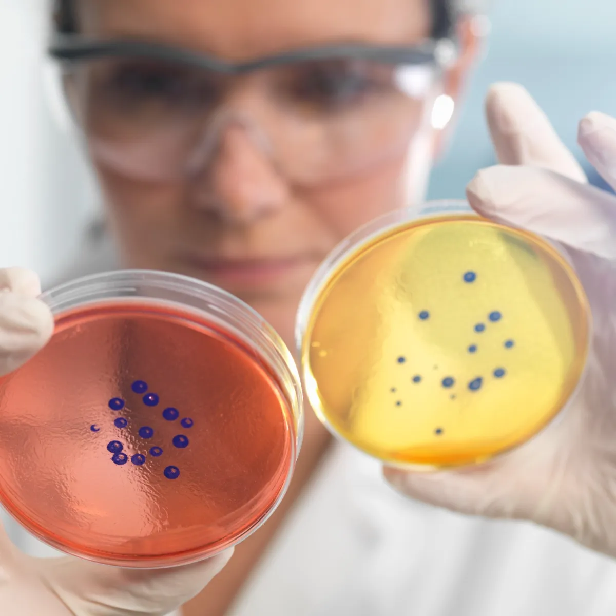 Laboratorio Clínico de Alta Especialidad y Rutina