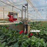 Entomatic : une gamme de l'optimisation à l'automatisation des lâchers d'auxiliaire