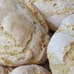 VISITE GUIDATE E DEGUSTAZIONI