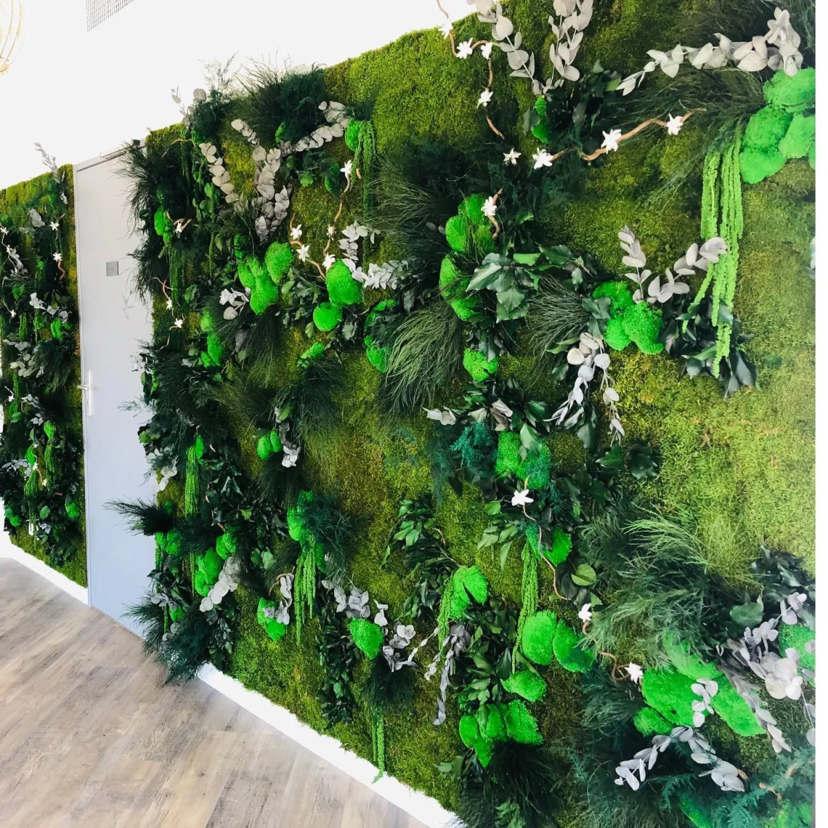 Murs végétaux stabilisés