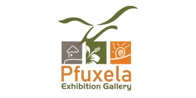 Pfuxela Executive Transports