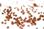 Colchicine Usp