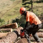 Motosserra a Gasolina 272XP®