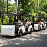 Compact Mobility EVs